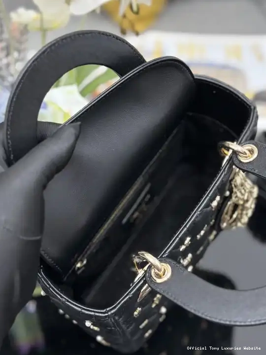Tony Luxuries DI0R-20CM LADY 0425